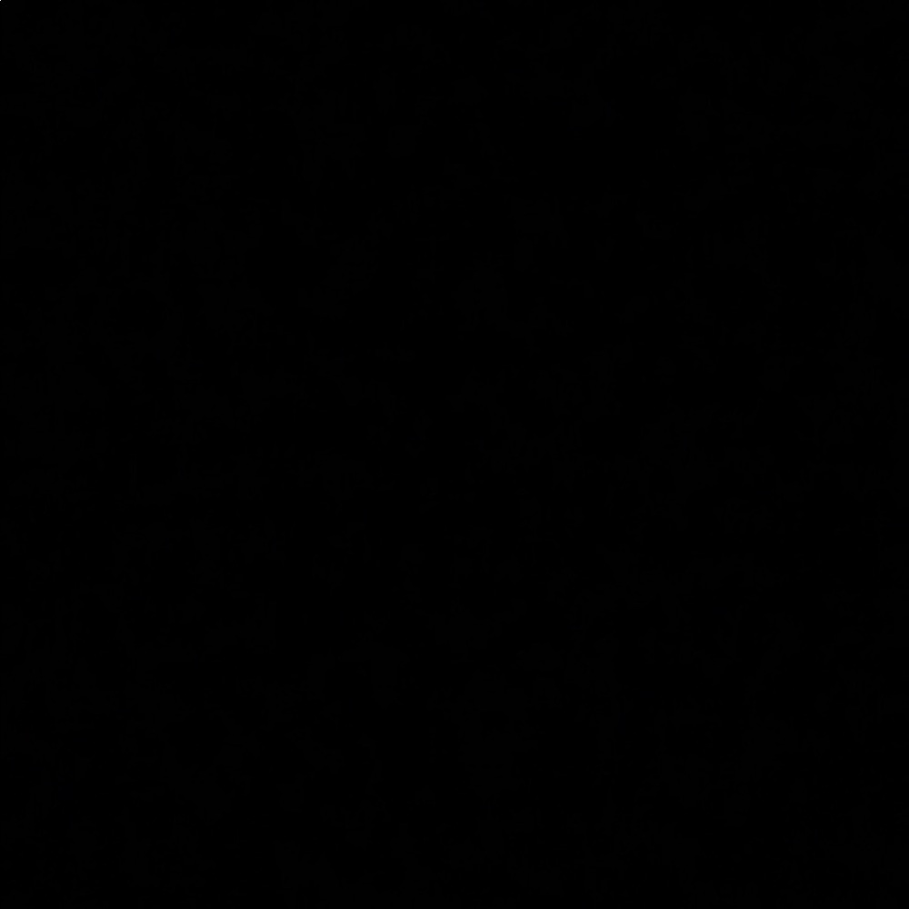 Meet your Posher, Austyn